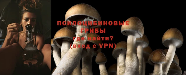 ПСИЛОЦИБИНОВЫЕ ГРИБЫ Аркадак