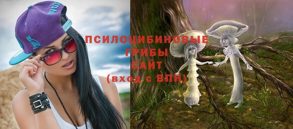 ПСИЛОЦИБИНОВЫЕ ГРИБЫ Аркадак