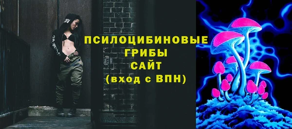 ПСИЛОЦИБИНОВЫЕ ГРИБЫ Аркадак