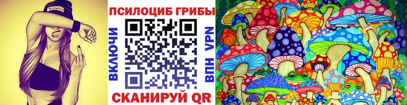 мориарти официальный сайт  Нязепетровск  Галлюциногенные грибы Magic Shrooms 